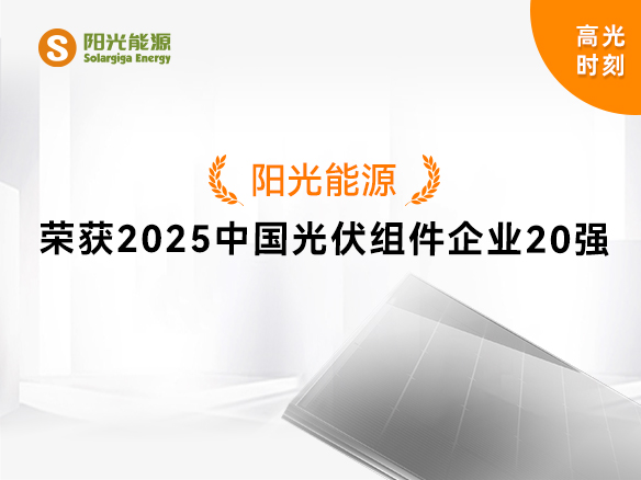 高光时刻 | 阳光能源实力登榜“2025中国光伏组件企业20强”